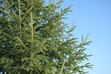 Similar image 803464