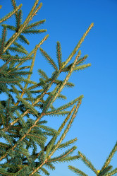 Similar image 803467