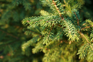 Similar image 803470