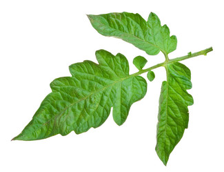 Similar image 803473