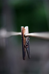 Similar image 803515