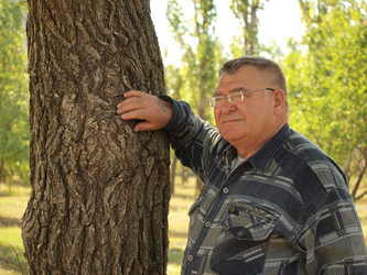 Similar image 803529