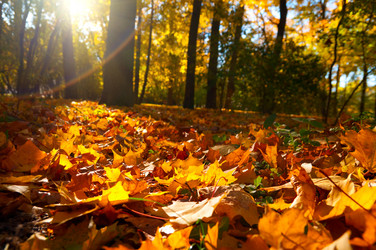 Similar image 803553