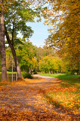 Similar image 803556