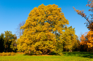 Similar image 803568