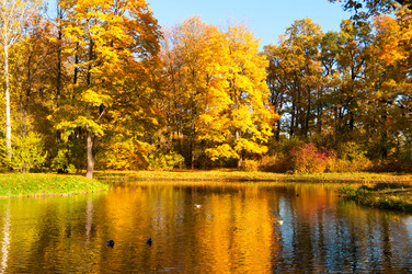 Similar image 803572