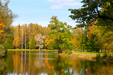 Similar image 803576