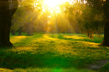 Similar image 803577