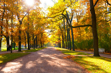 Similar image 803580