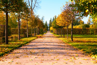 Similar image 803582