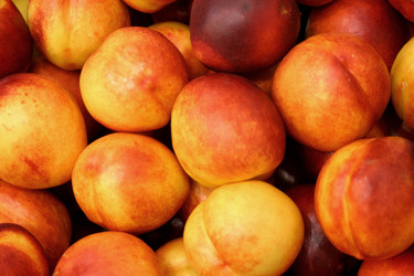 Similar image 803591