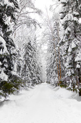 Similar image 803616