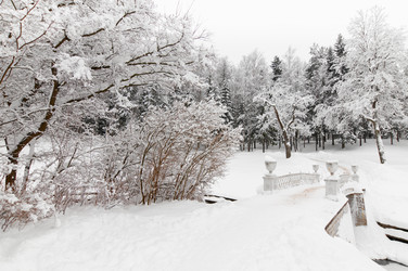 Similar image 803629