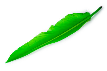 Similar image 803679