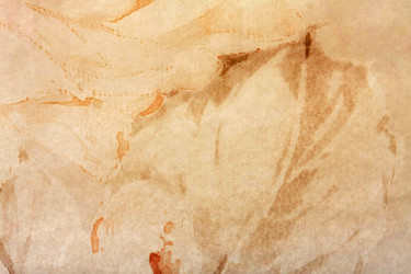 Similar image 803765