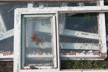 Similar image 803786