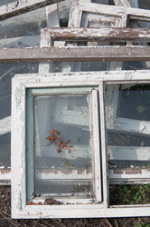 Similar image 803789