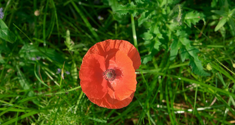 Similar image 803795