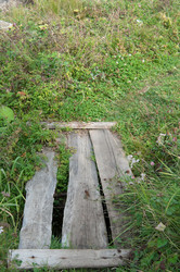 Similar image 803797