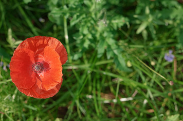 Similar image 803801