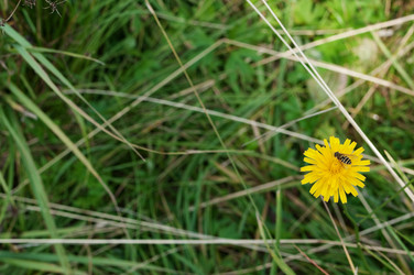 Similar image 803806