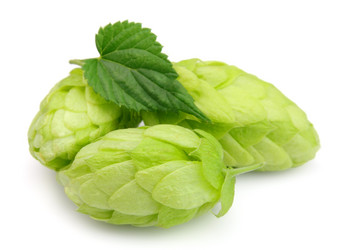 Similar image 803874