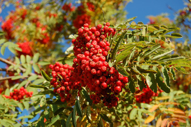 Similar image 803893