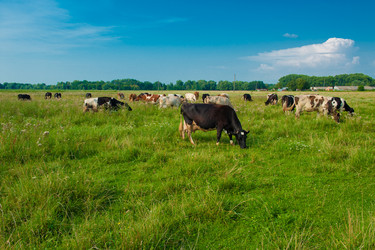 Similar image 803900