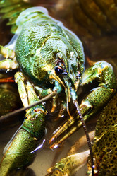 Similar image 803978