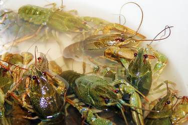 Similar image 803979