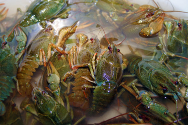 Similar image 803980