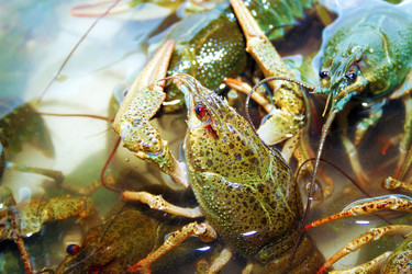 Similar image 803981