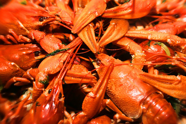 Similar image 803984