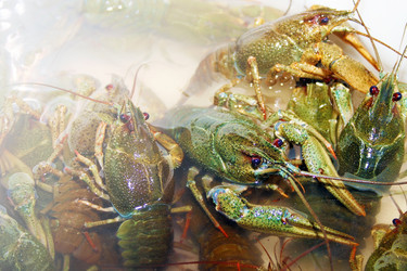 Similar image 803990