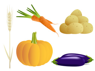 Similar image 804030