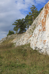 Similar image 804033