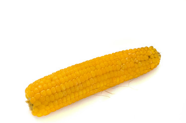 Similar image 804037