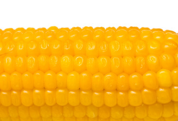 Similar image 804040