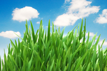 Similar image 804070