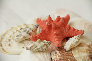 Similar image 804077