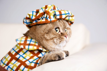 Similar image 804091