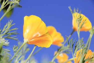 Similar image 804092