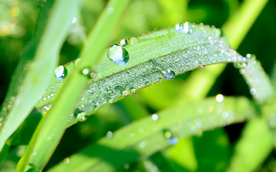 Similar image 804112