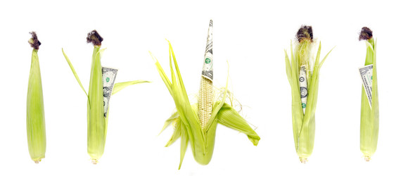 Similar image 804158