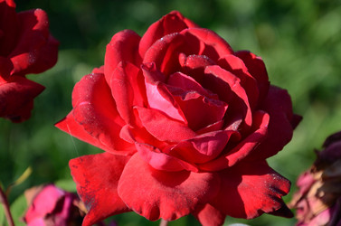 Similar image 804178