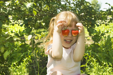 Similar image 804187