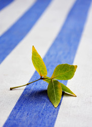 Similar image 804191