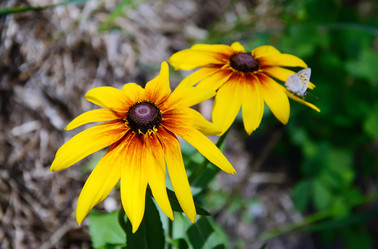 Similar image 804203