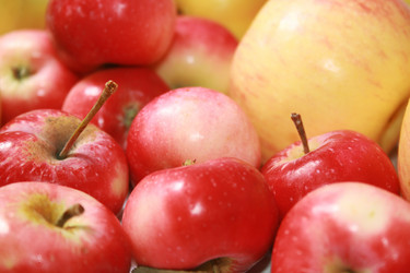 Similar image 804225