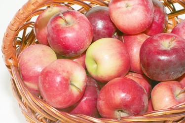 Similar image 804229